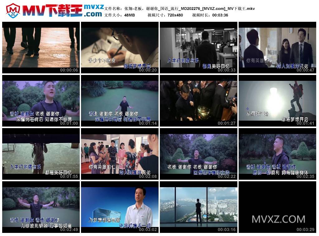 张翔-老板，谢谢你_国语_流行_MD202276